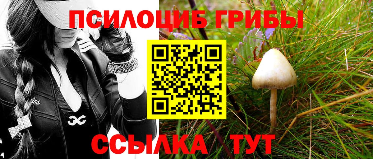 Учалы  Псилоцибиновые грибы MAGIC MUSHROOMS  Вход с VPN 