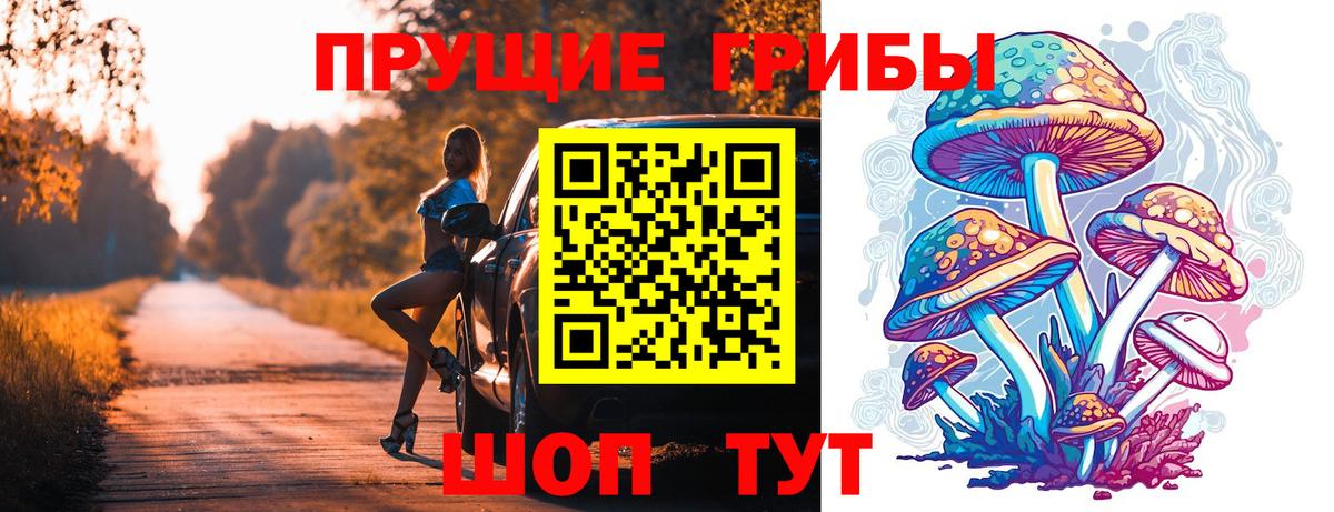 Галлюциногенные грибы Psilocybe Учалы